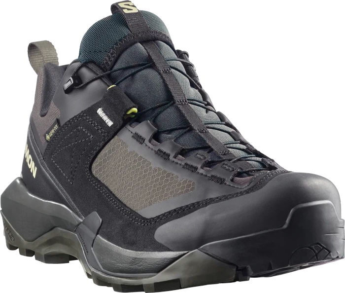 Salomon X Ultra Alpine GTX black/peat/aspargus green (Herren)