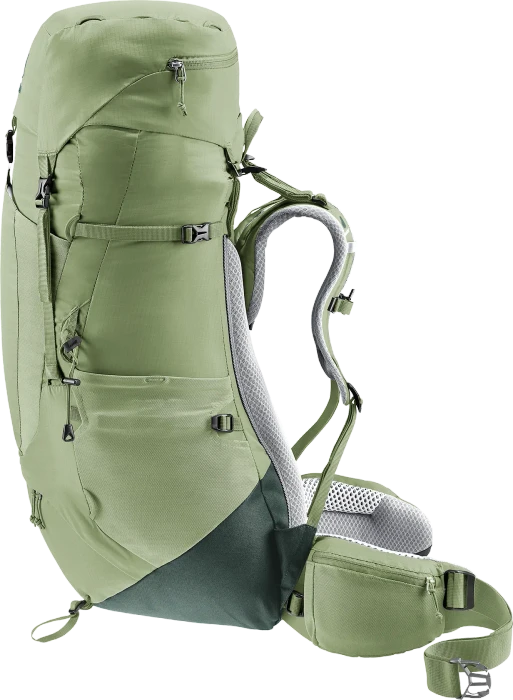 Deuter Aircontact Lite 45+10 SL grove/ivy (Damen)