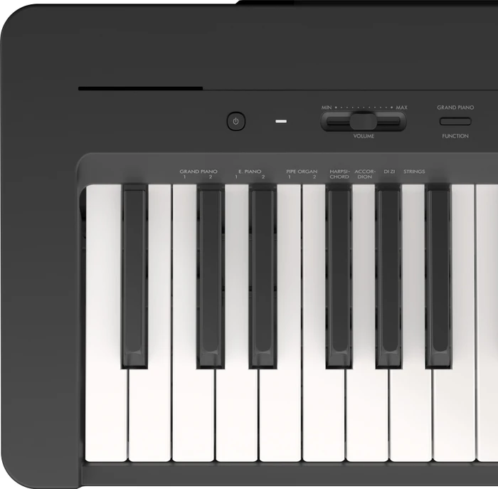 Yamaha P-145