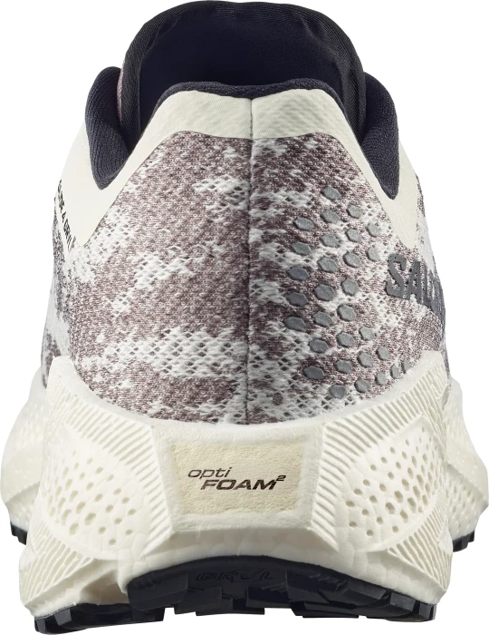 Salomon Aero Glide 4 GRVL vanilla ice/black (Herren)