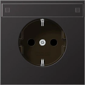 Jung Serie LS Steckdose 16A 250V, dark