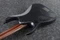 Ibanez RGD71ALMS BAM Black Aurora Burst Matte Vorschaubild
