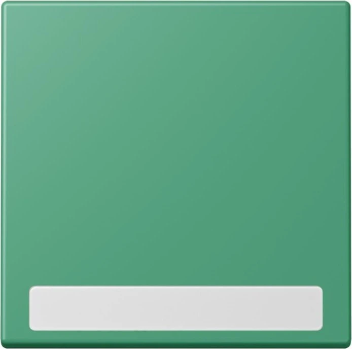 Jung Wippe 1-fach, vert 59