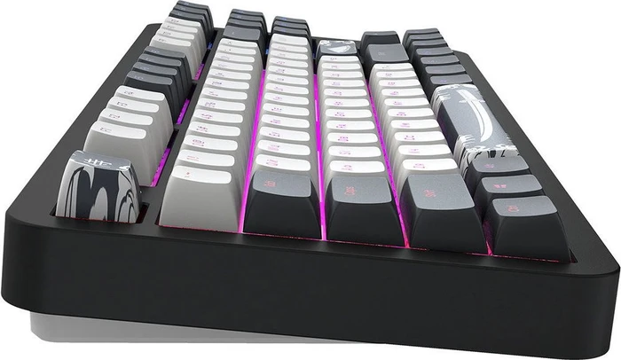 Dark Project ALU87B Bushido Gaming Keyboard, schwarz/weiß, LEDs RGB, g3ms Moonstone, USB, UA/US