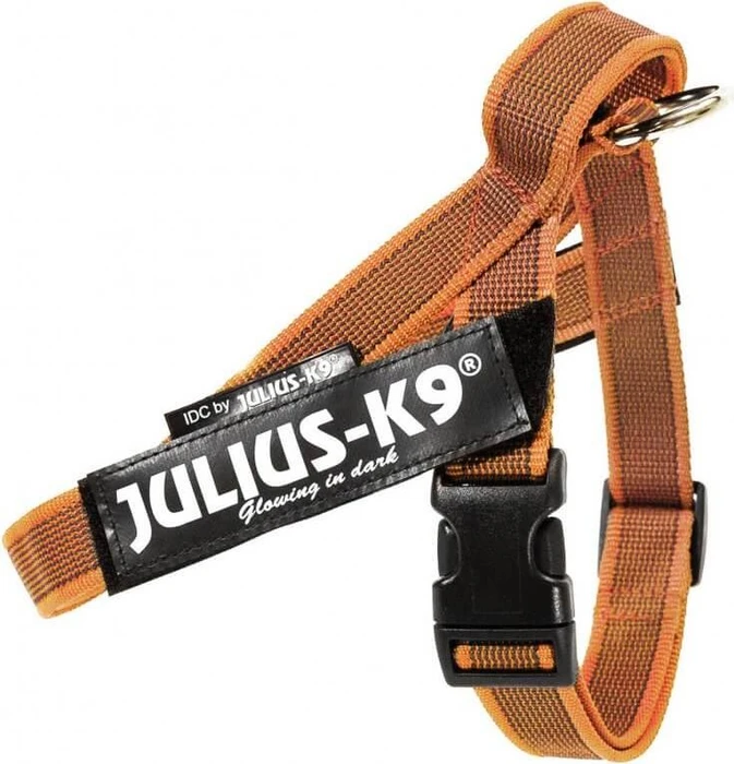 Julius K9 IDC Color & Gray Beltgeschirr S, orange