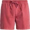 Quiksilver Everyday Surfwash 15" Badeshorts (Herren) Vorschaubild