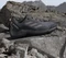 adidas Eastrail GTX grey five/preloved fig (Damen) Vorschaubild