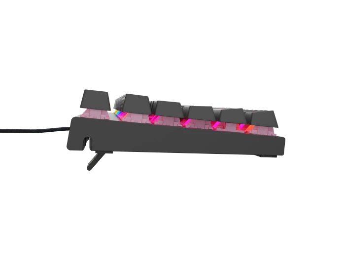 Genesis Thor 303 TKL silent, schwarz, LEDs RGB, hot-swap, Gaote Outemu SILENT PEACH, USB, DE