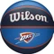 Wilson NBA Team Tribute Basketball Vorschaubild