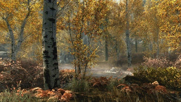 Elder Scrolls V: Skyrim - Special Edition (PS4)