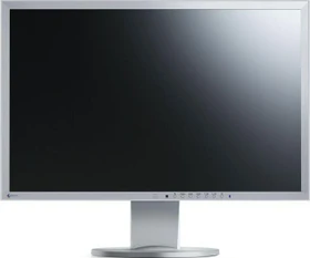 Eizo FlexScan EV2436W, grau, 24"