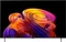 LG OLED AI B6 B6ELC Vorschaubild