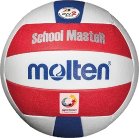 Molten V5B Volleyball