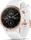 Garmin Fenix 5S Plus Sapphire
