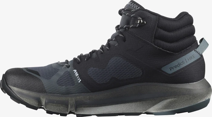 Salomon Predict Hike Mid GTX ebony/black/stormy weather (Herren)