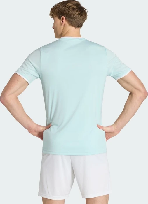 adidas Entrada 26 Trikot kurzarm halo mint/white (Herren)