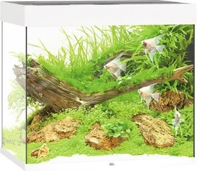 Juwel Lido 200 LED Aquarium-Set, weiß, 200l