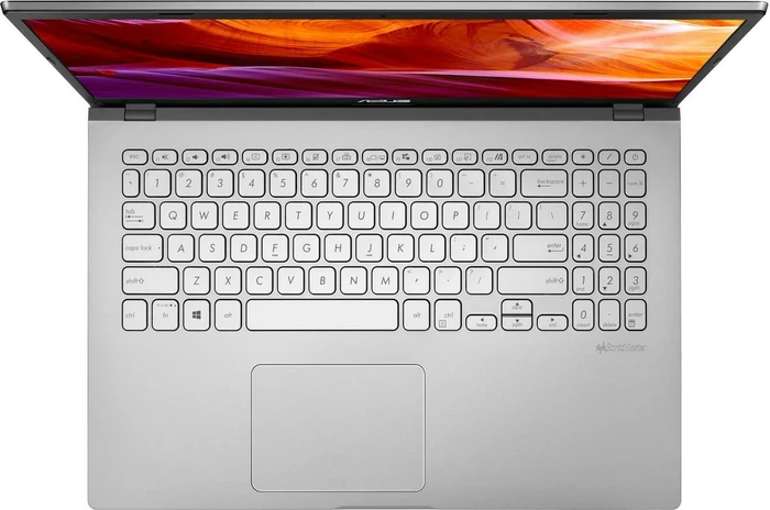 ASUS D509DA-EJ473T, Transparent Silver, Athlon Silver 3050U, 8GB RAM, 256GB SSD, DE