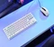 Trust Gaming GXT 833W Thado TKL Illuminated, weiß, LEDs RGB, USB, ES Vorschaubild