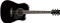 Ibanez PF15ECE Vorschaubild