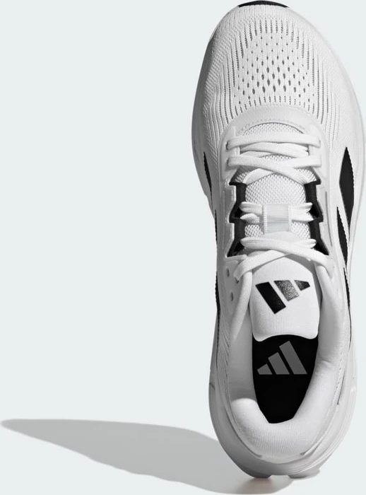 adidas Questar 3 cloud white/core black/dash grey