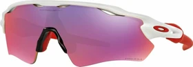 Oakley Radar EV Path Prizm Road polished white