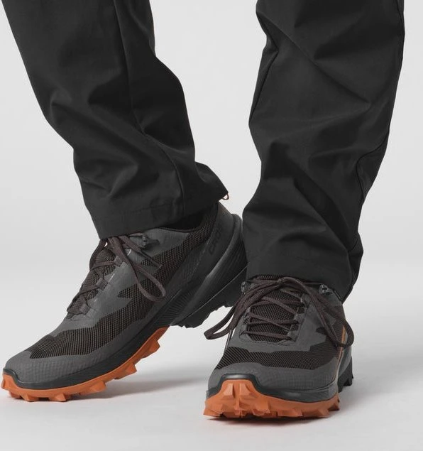 Salomon Cross Over 2 GTX magnet/phantom/spice route (Herren)