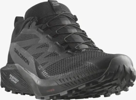 Salomon Sense Ride 5 GTX black/magnet (Herren)