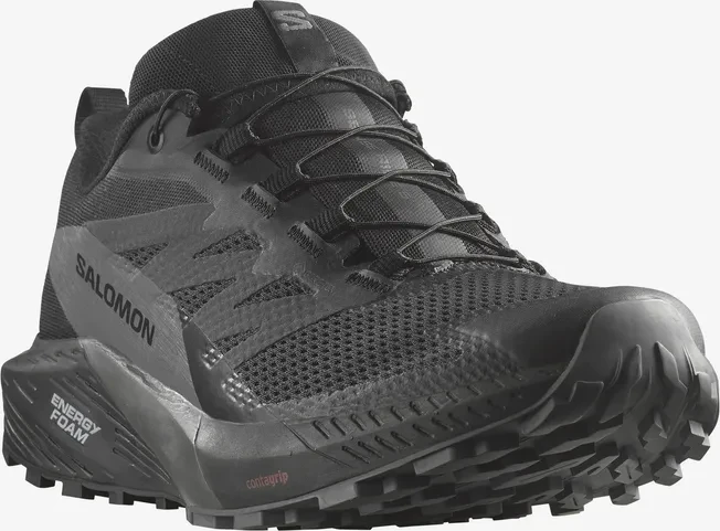 Salomon Sense Ride 5 GTX black/magnet (Herren)