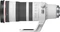 Canon RF 100-300mm 2.8 L IS USM Vorschaubild