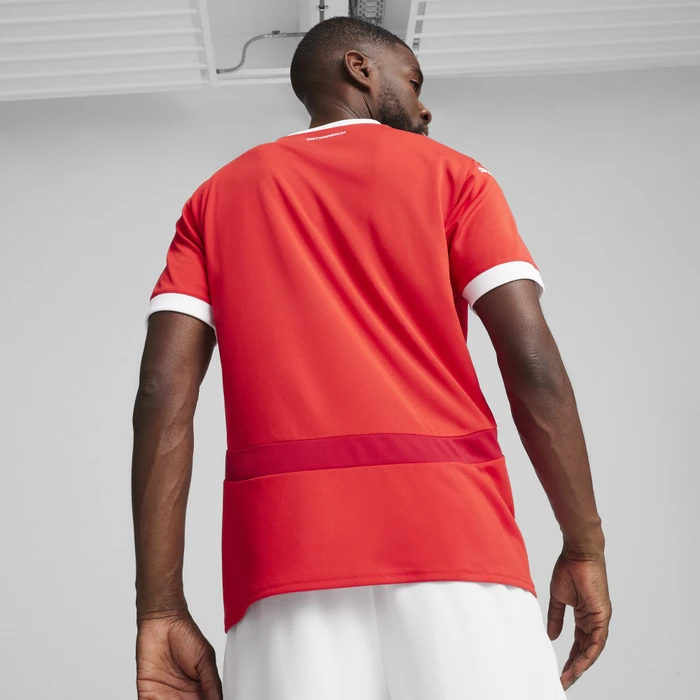 Puma UEFA EURO 2024 Österreich Heimtrikot (Herren)