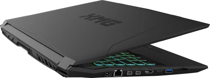 Schenker XMG A507-ghf, Core i7-7700HQ, 16GB RAM, 250GB SSD, 1TB HDD, GeForce GTX 1050, DE