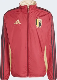 adidas Belgien Anthem Jacke (Herren)