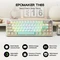 Epomaker TH65 Wireless, Retro White, grau, LEDs RGB, hot-swap, Epomaker Crystal Tactile Silent, USB/Bluetooth, US Vorschaubild