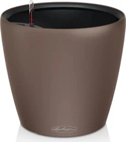 Lechuza Classico Color LS 35 muskat