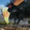 adidas Terrex Agravic Flow 2.0 pulse lime/turbo/cloud white (Herren) Vorschaubild