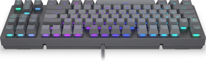 Endorfy Thock V2 TKL, PBT, grau, LEDs RGB, hot-swap, Endorfy RED, USB, US