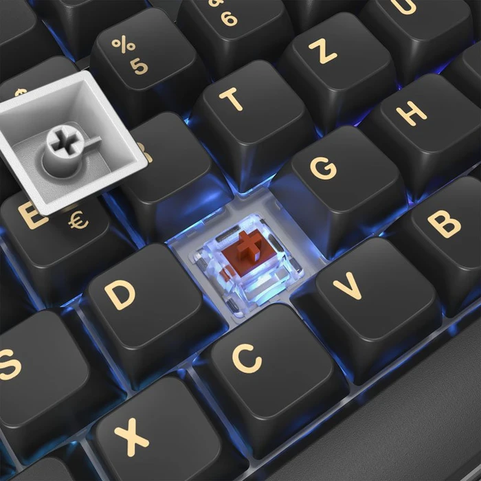 Montech MKey, Darkness, Fullsize, LEDs RGB, hot-swap, Gateron G Pro 2.0 BROWN, USB, DE