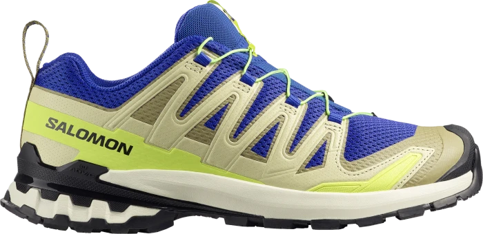 Salomon XA Pro 3D V9 dark gull gray/cloudburst/asphalt (Herren)