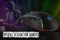 Inca IMG-GT16 RGB Gaming Mouse, USB Vorschaubild