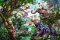 Ravensburger Puzzle Die Drachen der Tropen Vorschaubild