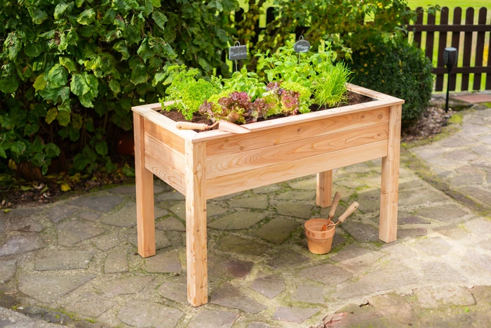 Westmann Emily Hochbeet 120x65cm natur