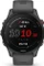 Garmin Forerunner 255 slate grey Vorschaubild
