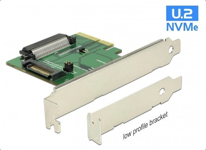 DeLOCK PCIe -> U.2 2.5"