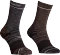 Ortovox Alpine Mid Socken (Herren) Vorschaubild