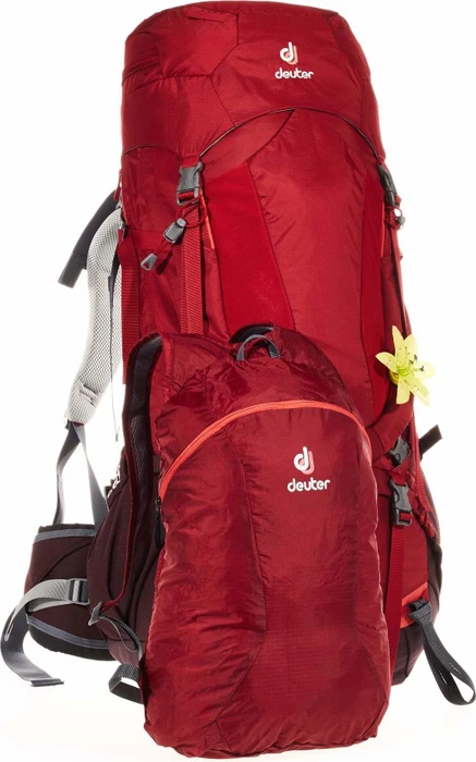 Deuter Aircontact Pro 55+15 SL cranberry/aubergine (Damen)