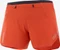 Salomon Sense Aero 5 Hose kurz (Damen) Vorschaubild