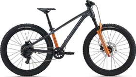 Giant STP 24 FS black chrome Modell 2026