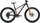 Giant STP 24 FS black chrome Modell 2026