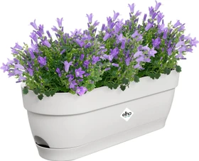 Elho Vibia Campana oval 50x18cm seidenweiß
